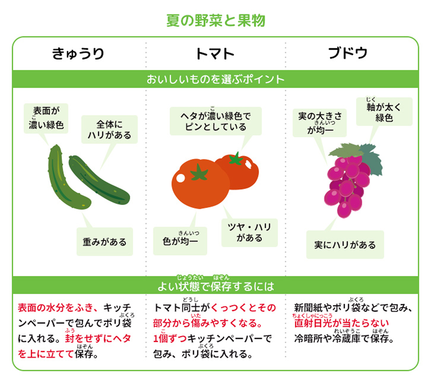夏の野菜と果物