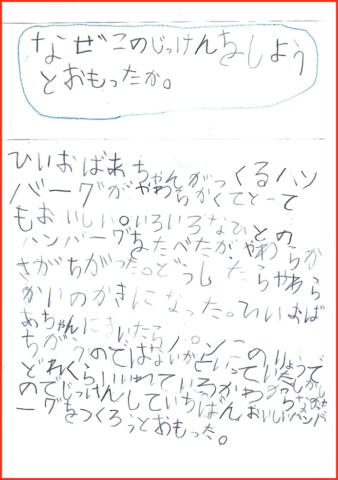 ハンバーグのけんきゅう2