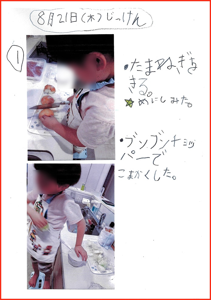 ハンバーグのけんきゅう4