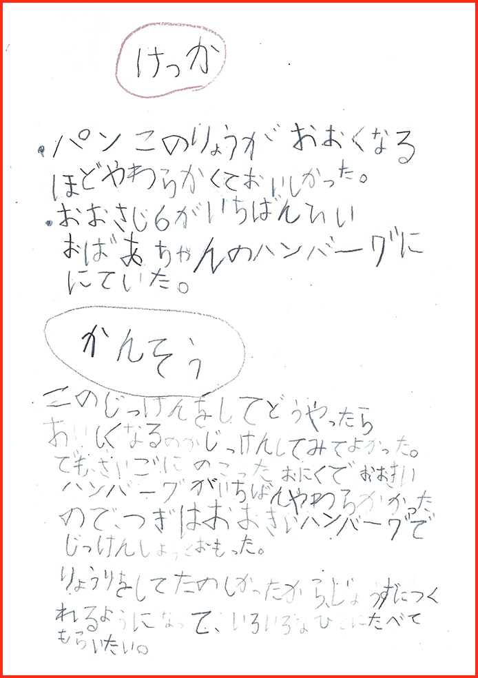 ハンバーグのけんきゅう8