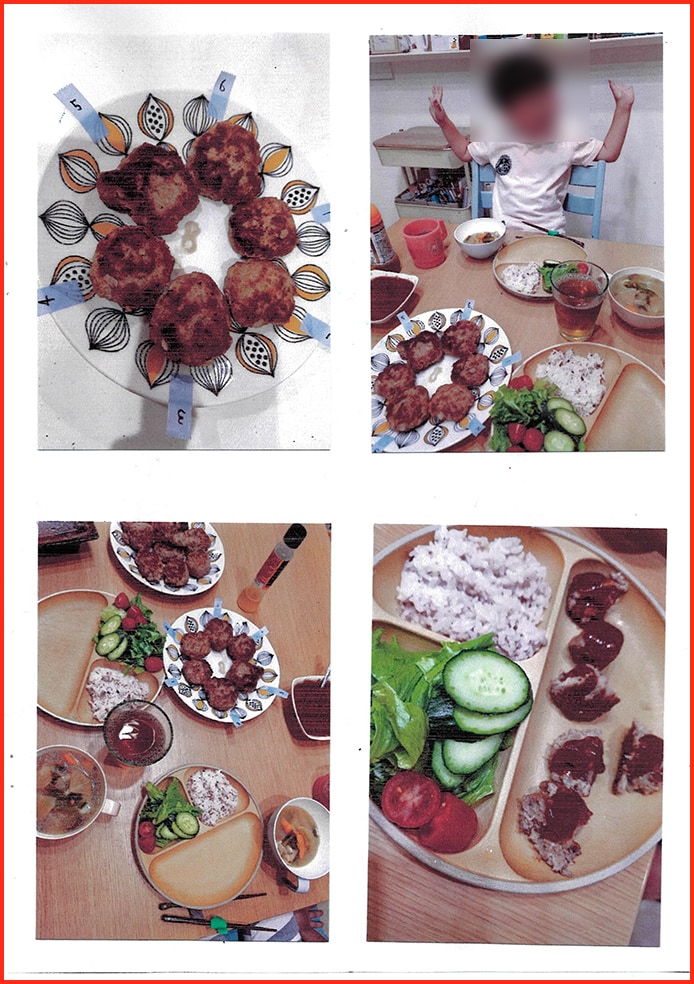 ハンバーグのけんきゅう9