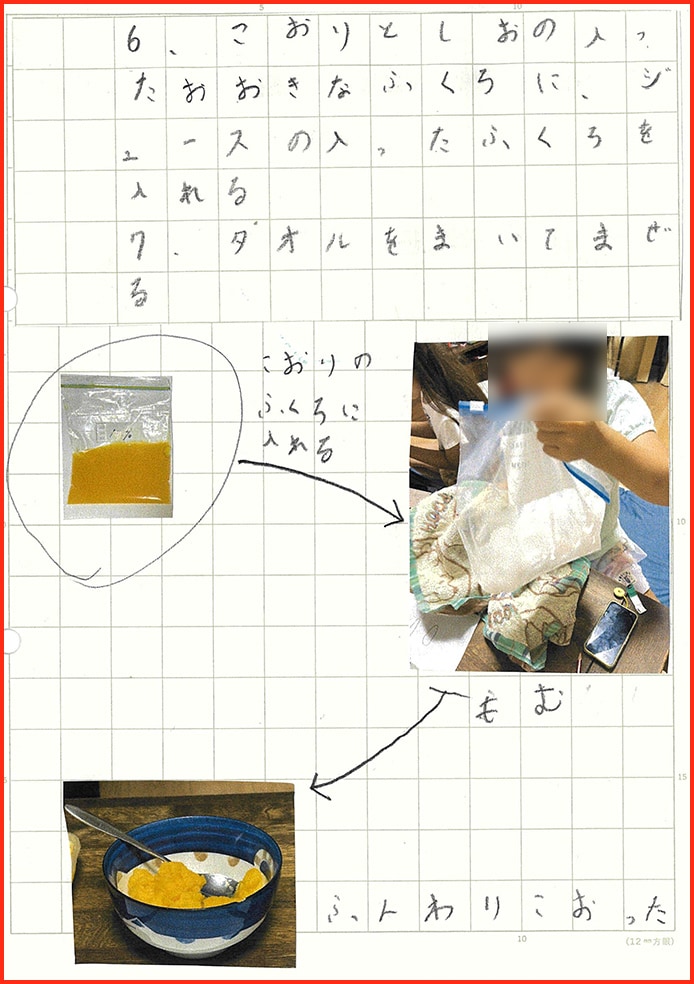 たまごなしシャーベット計画13