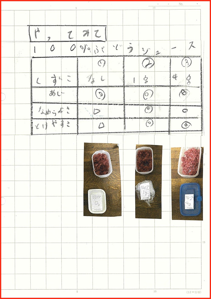 たまごなしシャーベット計画28
