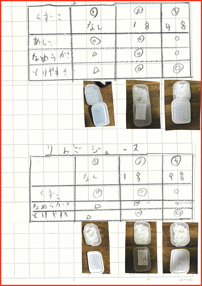 たまごなしシャーベット計画29