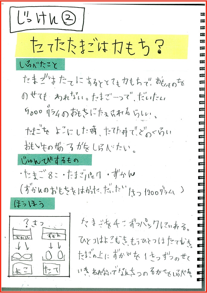 たまごアレルギーのぼくのたまごのかんさつとじっけん12