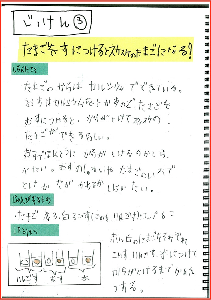 たまごアレルギーのぼくのたまごのかんさつとじっけん14