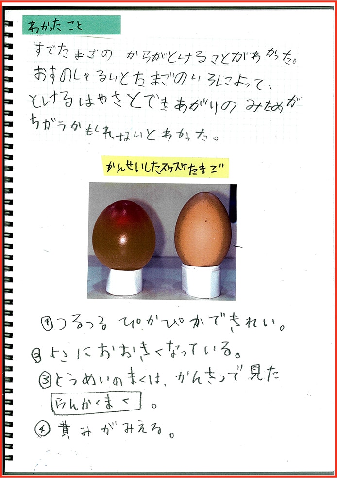 たまごアレルギーのぼくのたまごのかんさつとじっけん17