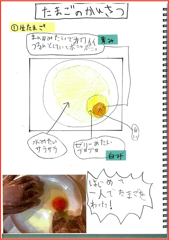 たまごアレルギーのぼくのたまごのかんさつとじっけん6