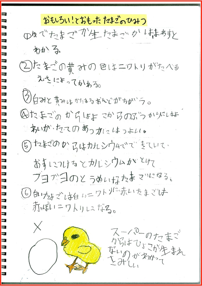 たまごアレルギーのぼくのたまごのかんさつとじっけん9