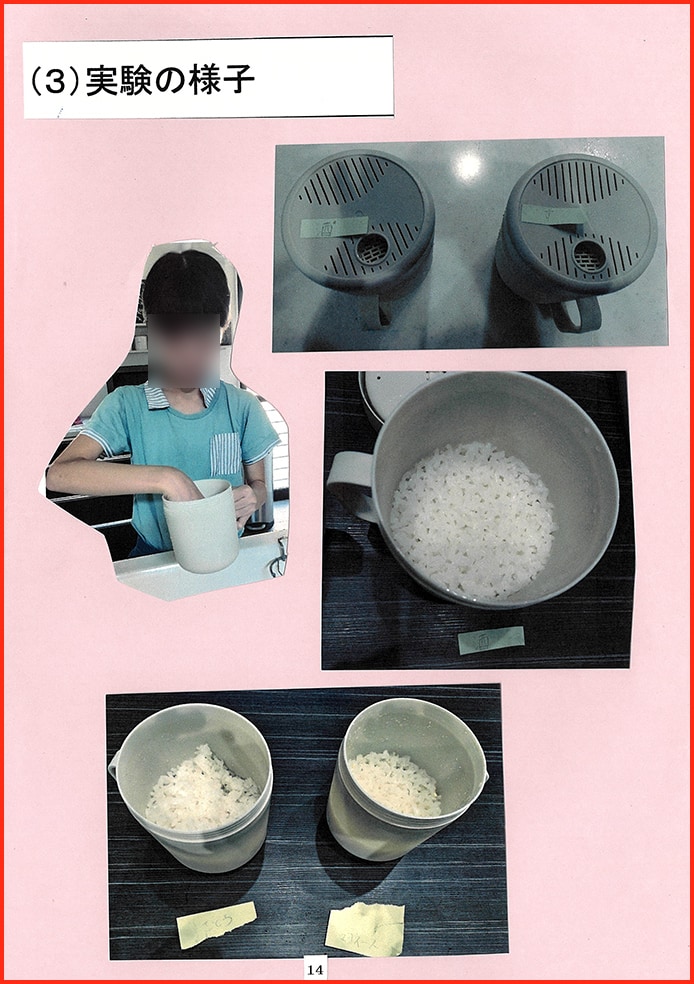 お米について〜世界の米＆びちく米〜15