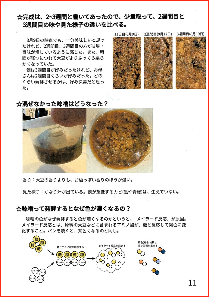 発酵って何？12