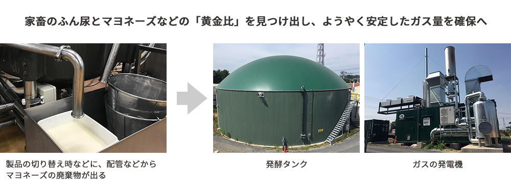 家畜のふん尿とマヨネーズなどの「黄金比」を見つけ出し、ようやく安定したガス量を確保へ