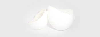 About Eggshell Membrane