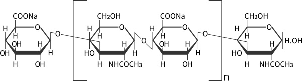 The Structure of Hyaluronic acid