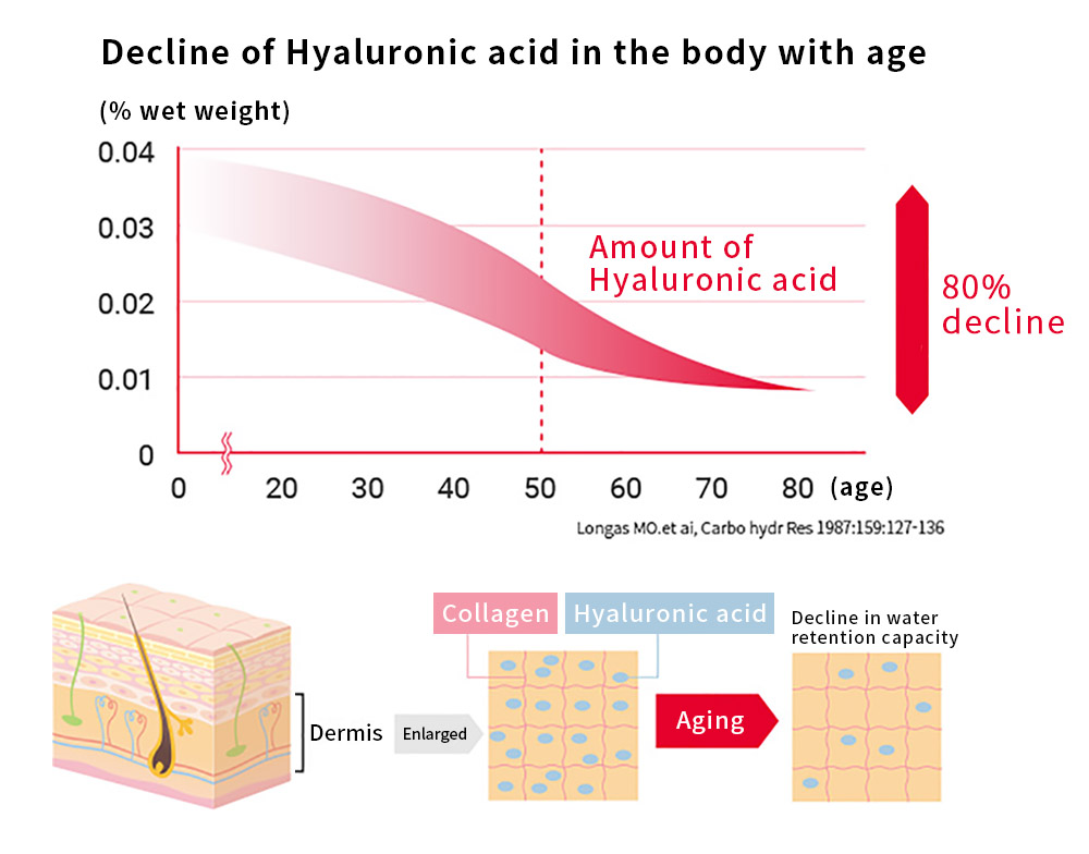 Age-related changes in amounts of Hyaluronic acid