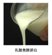 乳酸発酵卵白